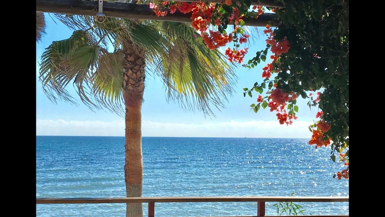 Mi Capricho 2D Beachfront- Apartment With Sea View - Costa Del Sol Sitio de Calahonda Εξωτερικό φωτογραφία
